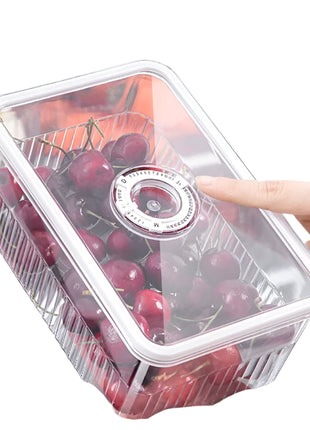 מיכל שקוף למקרר – שומר על סדר וארגון במקרר

