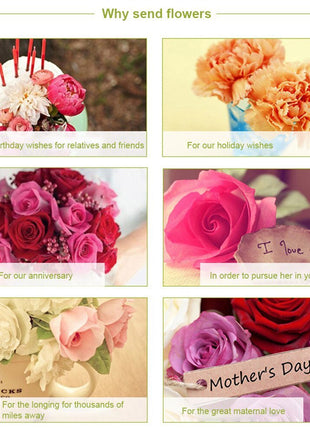 Surprise package for Valentine’s Day with all essentials.
